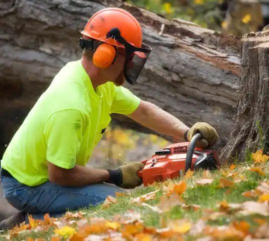 tree services Roseboro